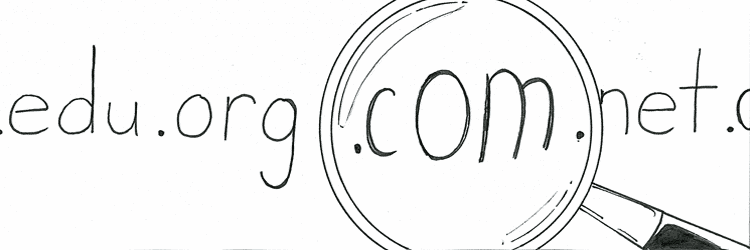 MagnifyDomains_4