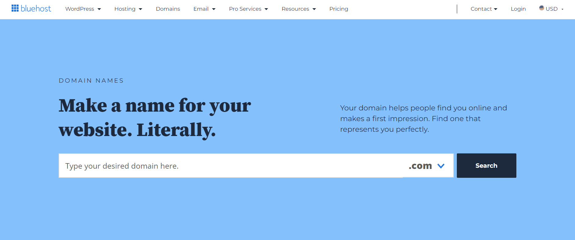 How Much Does a Domain Name Cost Bluehost  