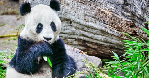 5 Common Typos that Are Biting Your Brand