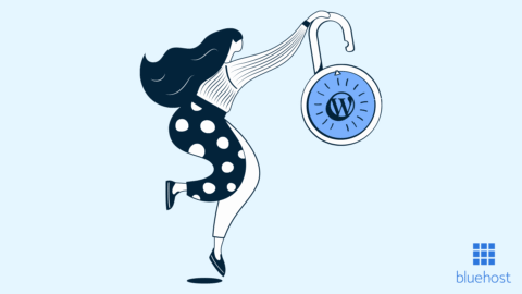 WordPress Security – Secure Your WordPress Website  