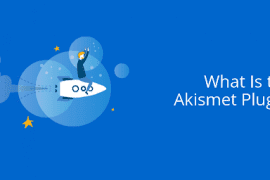 What Is the Akismet Plugin?