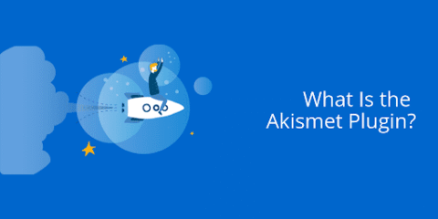 What Is the Akismet Plugin?