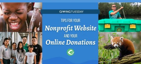 8 Fundraising Tips for Nonprofit Websites with Online Donations