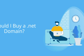 Should I Buy a .net Domain?