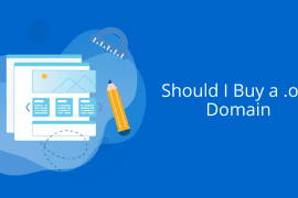 Should I Buy a .org Domain? 