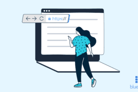 SSL Web Hosting: How to Add HTTPS to Your Domain