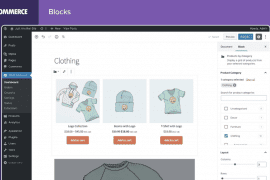 Introducing eCommerce Plugins You’ll Love on Your WordPress Website