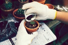 Transfer Domain to Bluehost — Bump up Security and Privacy