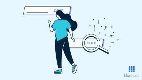 How to Choose a Domain Name – Best Tips & Guide
