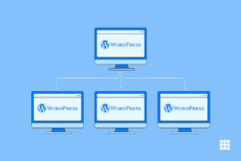 WordPress Multisite – Meaning, Features, Pros and Cons