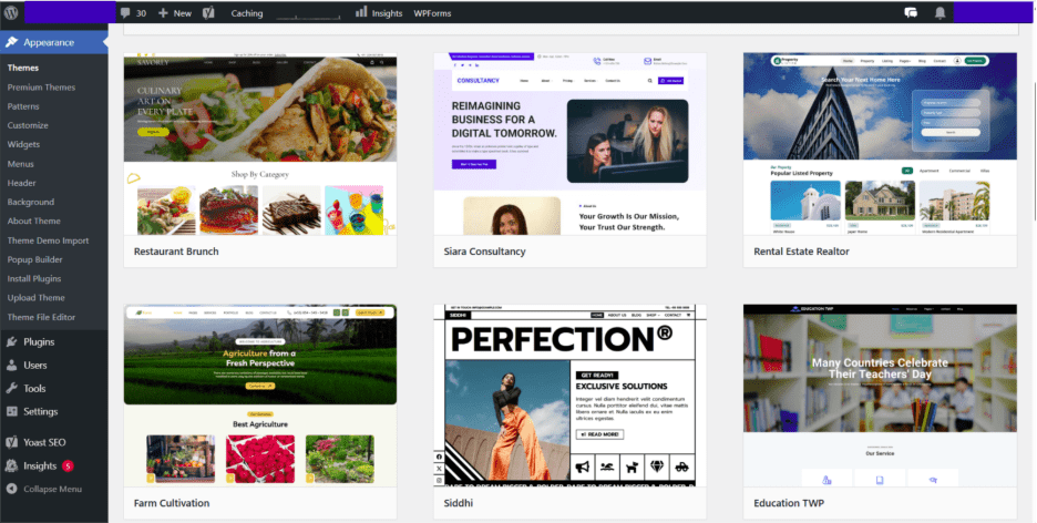 Picking the right WordPress theme by understanding your website needs