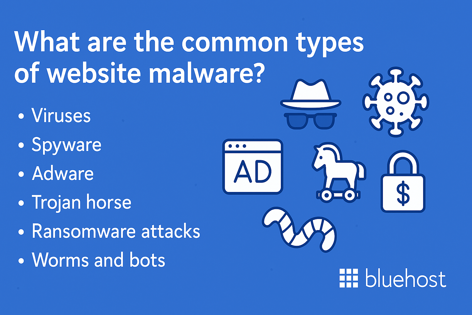 What are the common types of website malware? 