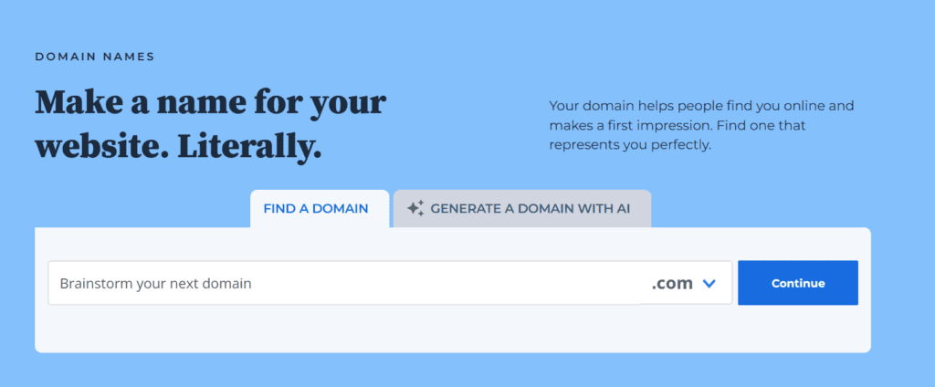 Bluehost domain name
