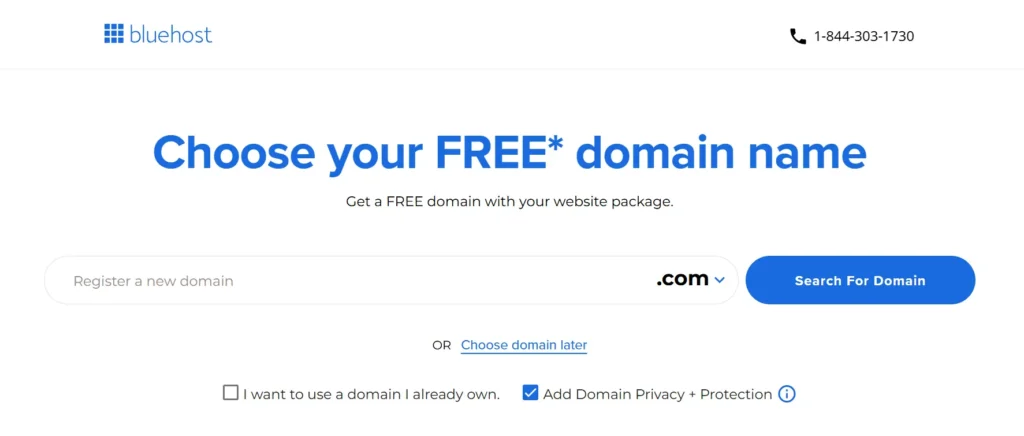 Selecting your preferred domain name