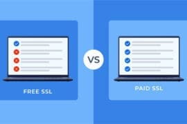 Free SSL vs Paid SSL Certificate: Which is Best for Your Business?