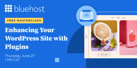 Enhancing Your WordPress Site with Plugins