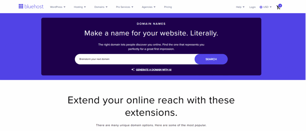 Bluehost domain