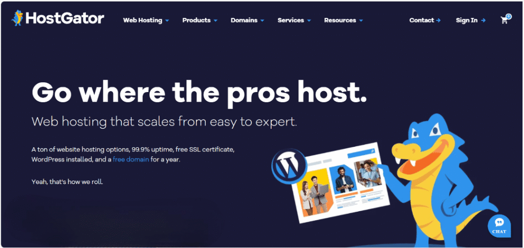 HostGator - NameCheap Alternative