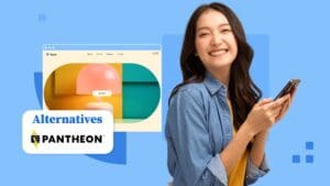Pantheon Alternatives: Top Web Hosting Platforms Compared