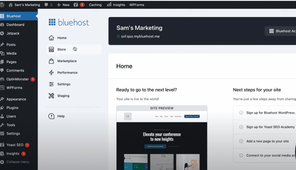 Using WordPress plugins 