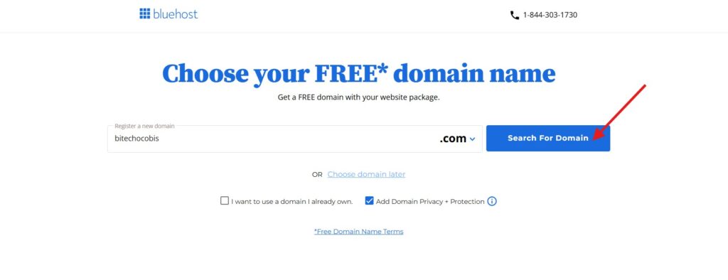 choose your free domain name