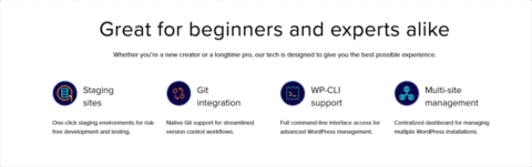 WordPress Multisite Management in 2026: Simplify Multiple Sites with ...