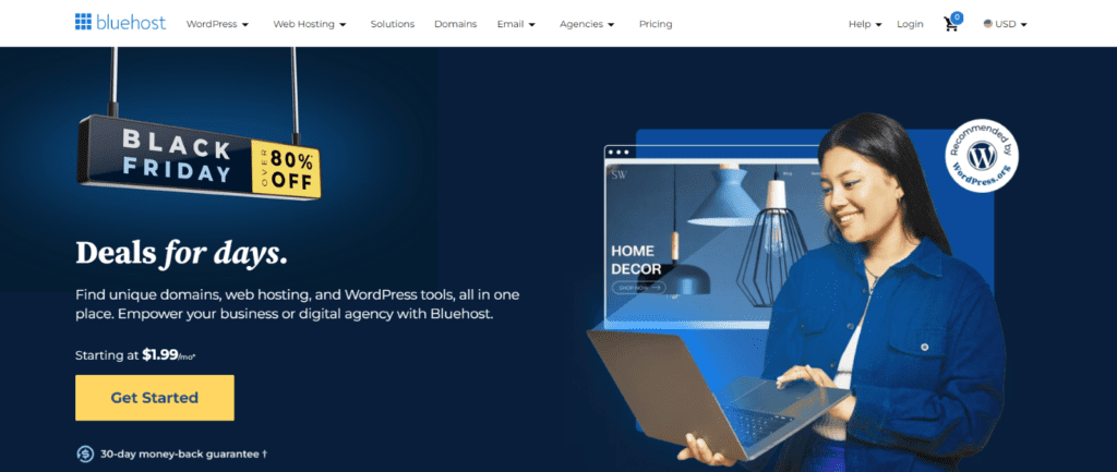 Bluehost Black Friday Sale