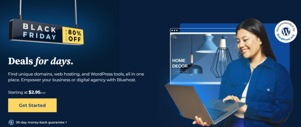 Bluehost Black Friday deal
