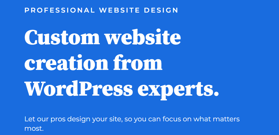 Bluehost Professional Website Design