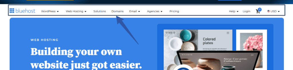 Bluehost header
