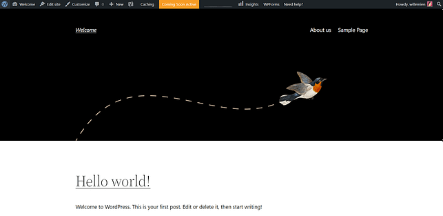 WordPress theme