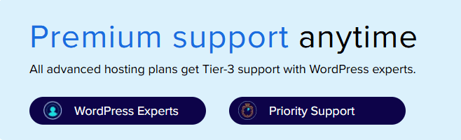 Bluehost 24/7 Priority Support anytime