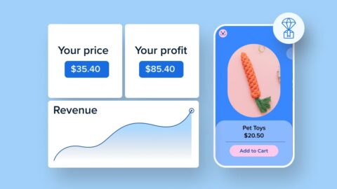 Beginner’s Guide: How to Start Dropshipping in 2025 