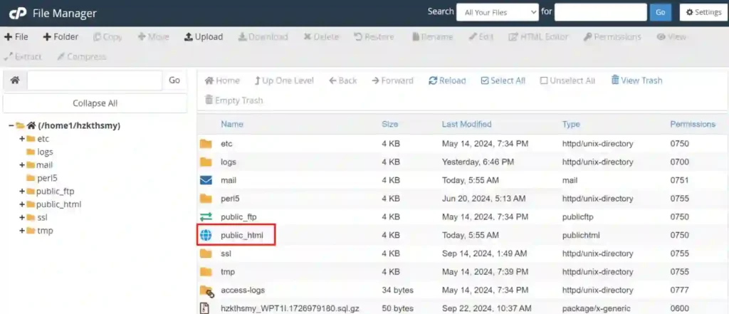 Locating the ‘index.html’ or ‘index.php’ file