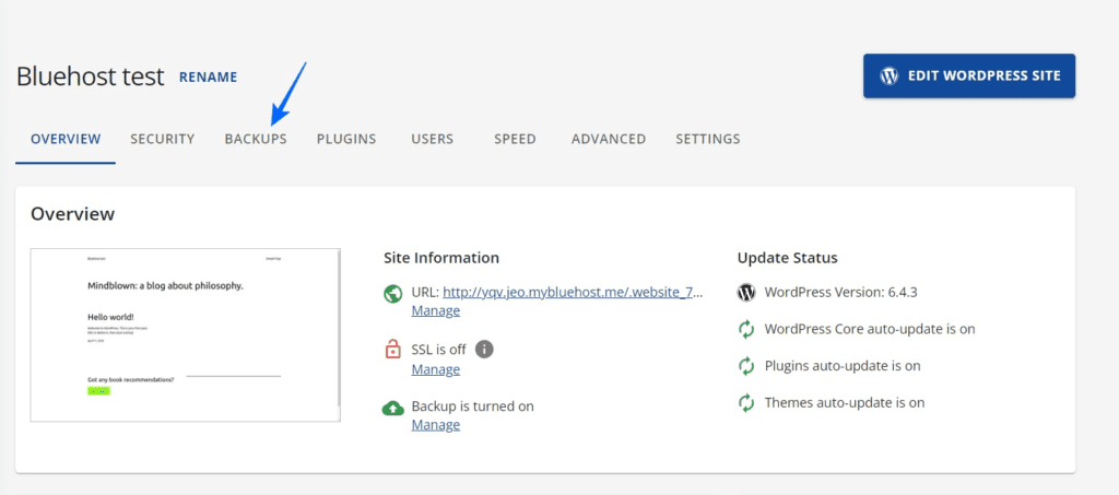 Bluehost Backups