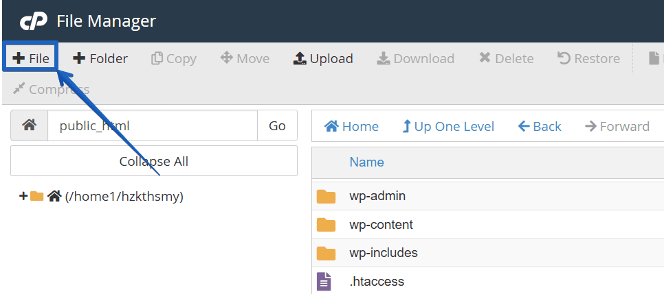 Robots txt Disallow All SEO Risks Best Practices Explained