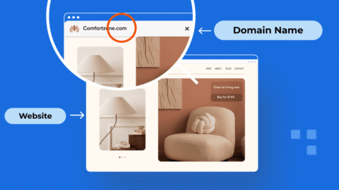 What’s the Difference Between a Domain and a Website 