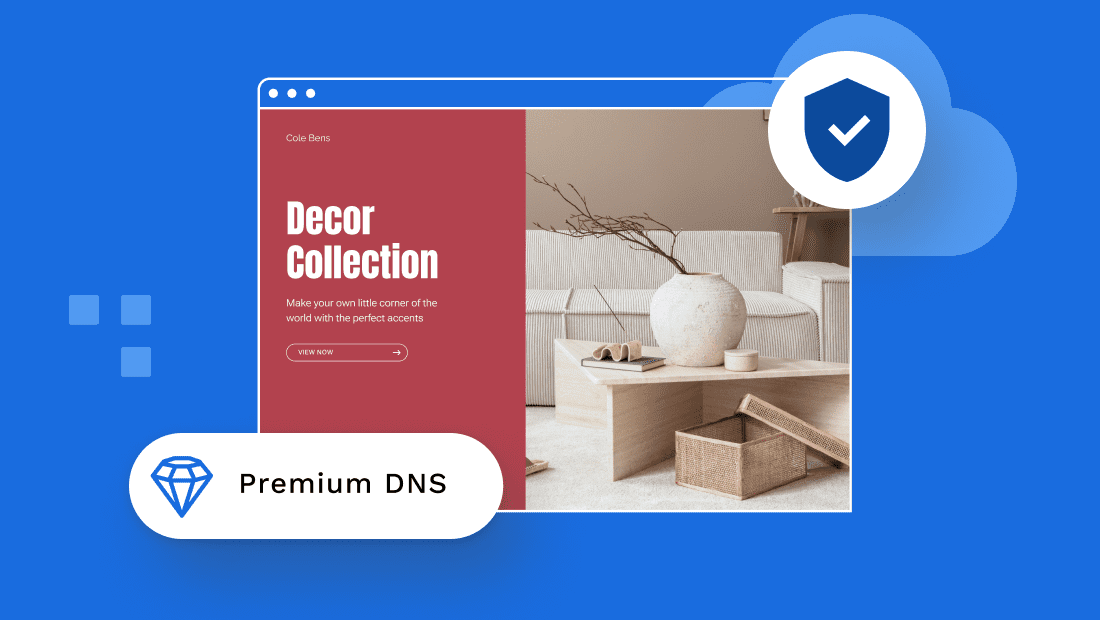 what is premium dns