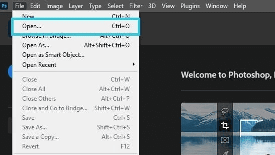 Open your image in Photoshop