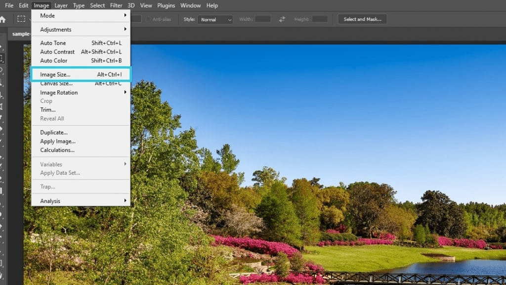 Access image size dialog