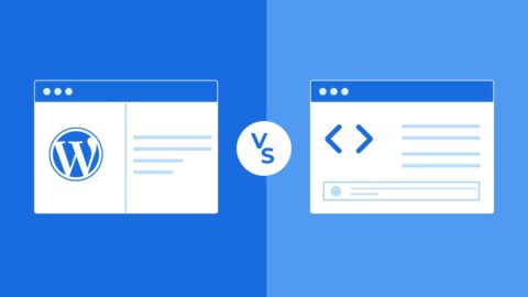 Web Developer vs Software Developer – Key Differences & Comparison Guide