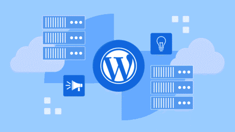 WordPress Architecture – Tips, Plugins & Best Practices