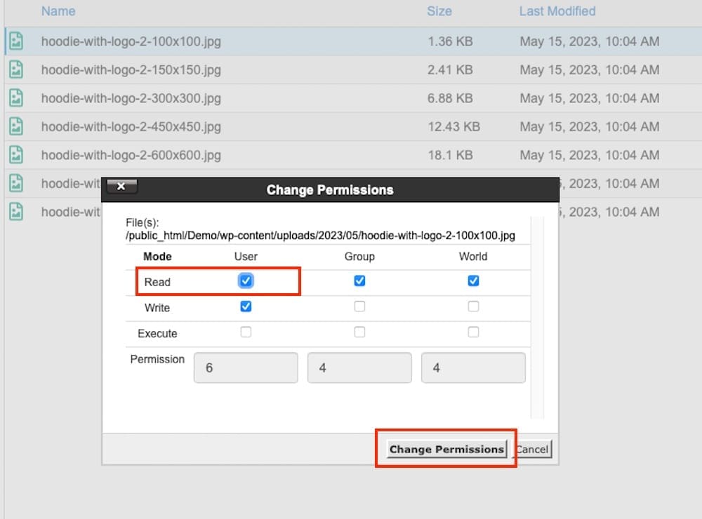 Changing file permission in WordPress