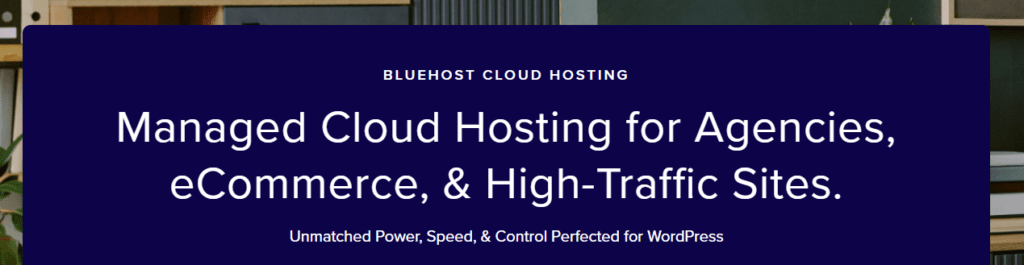 When should you choose Bluehost?
