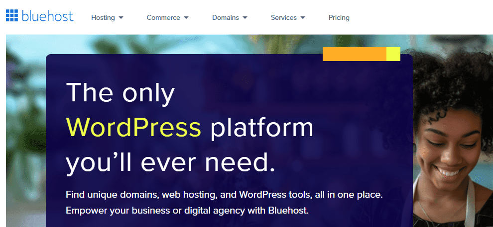 Bluehost website