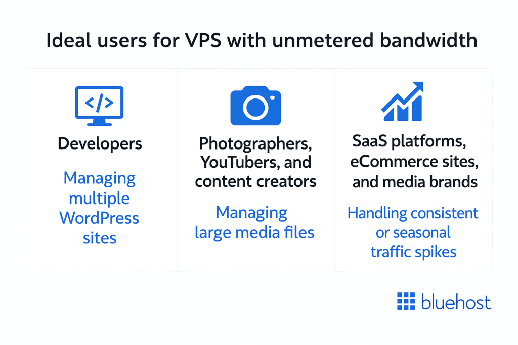Ideal Users for VPS with Unmetered bandwidth