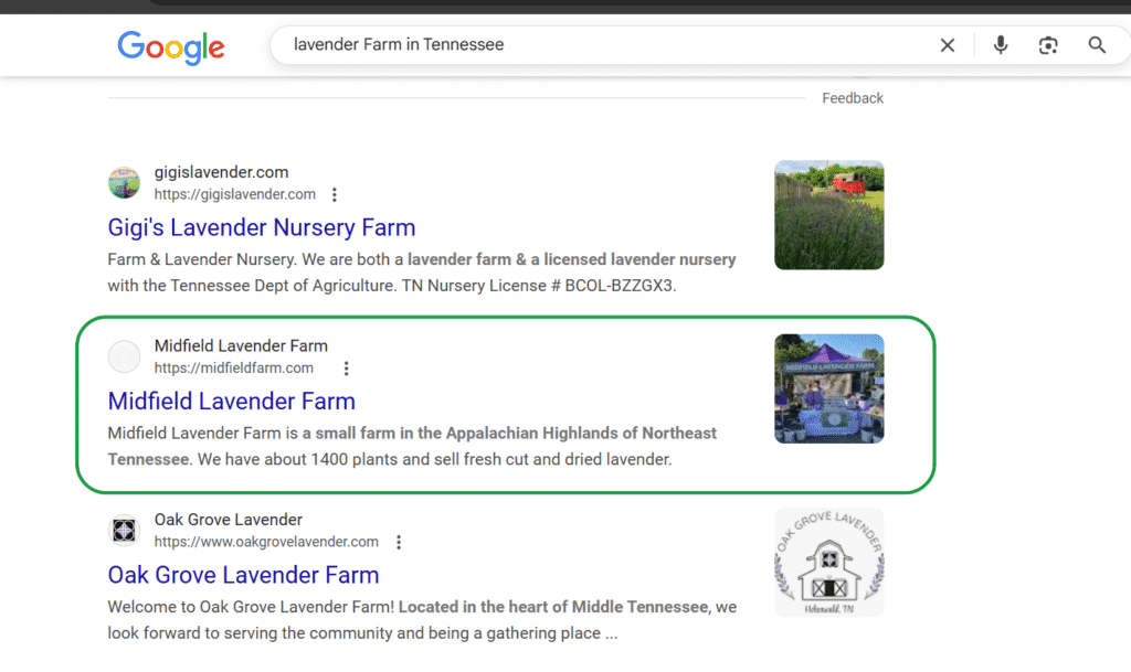 Midfield Lavander Farm Search Engine Results 