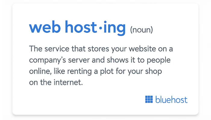 What is web hosting