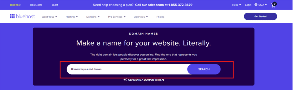 Choose a domain name