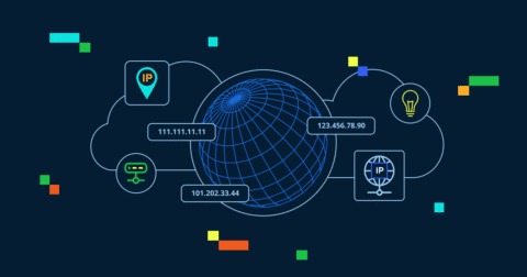 What Is an IP Address? Definition, Types and How It Works